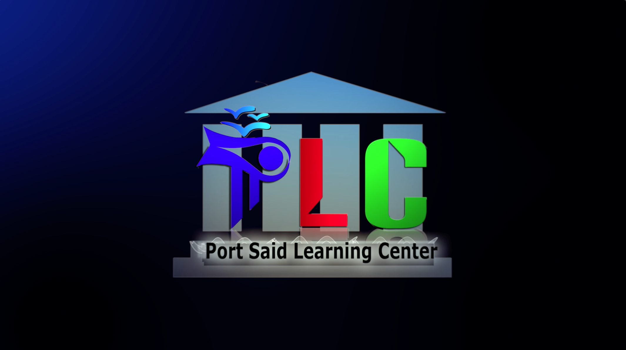 Image of Work Project 2